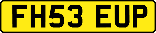 FH53EUP