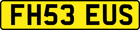 FH53EUS