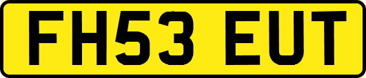 FH53EUT