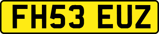 FH53EUZ