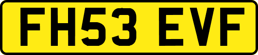 FH53EVF