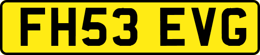 FH53EVG