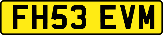 FH53EVM