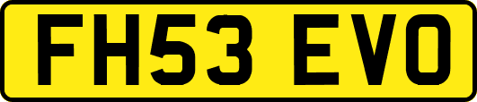 FH53EVO