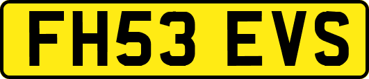 FH53EVS