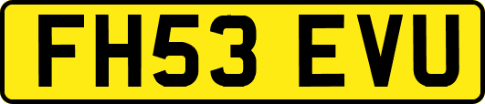 FH53EVU