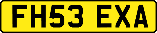 FH53EXA