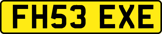 FH53EXE
