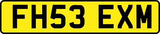 FH53EXM