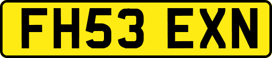 FH53EXN