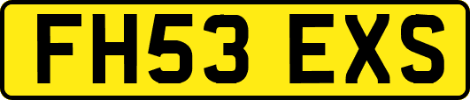 FH53EXS