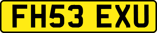FH53EXU