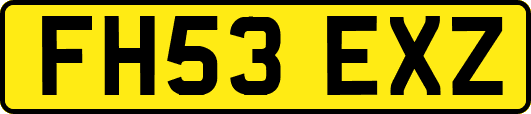 FH53EXZ