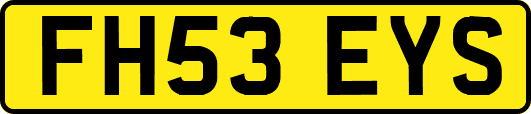 FH53EYS