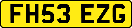 FH53EZG