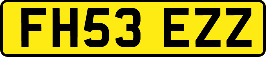 FH53EZZ