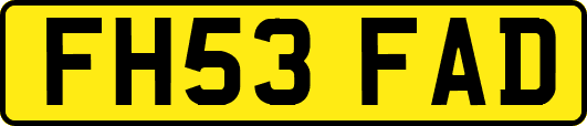 FH53FAD
