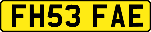 FH53FAE