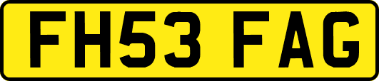 FH53FAG