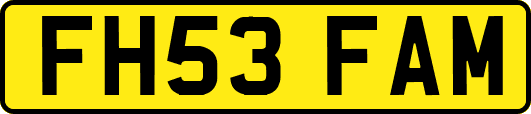 FH53FAM