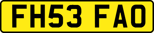 FH53FAO