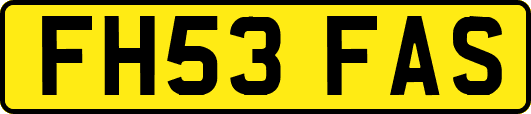 FH53FAS