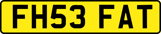 FH53FAT