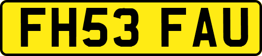 FH53FAU