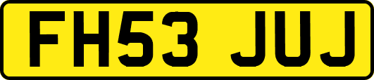 FH53JUJ