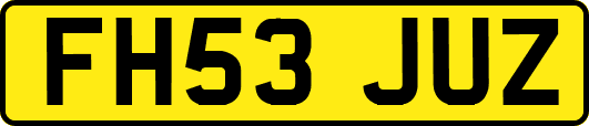 FH53JUZ