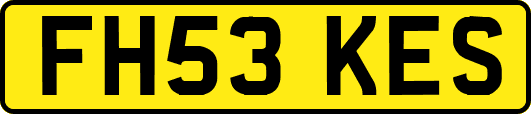 FH53KES