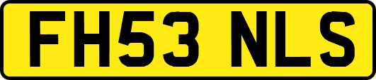 FH53NLS