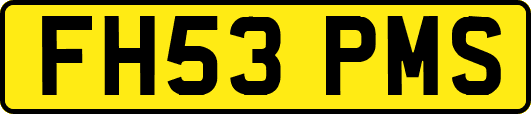 FH53PMS
