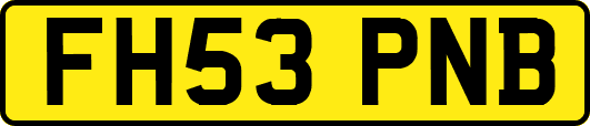 FH53PNB