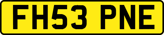 FH53PNE