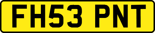 FH53PNT