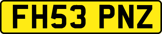 FH53PNZ