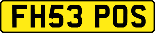 FH53POS