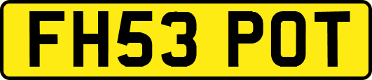 FH53POT