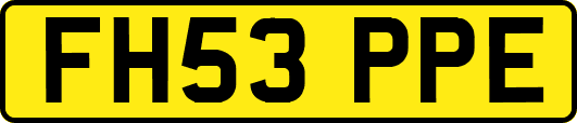 FH53PPE