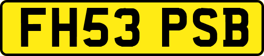 FH53PSB