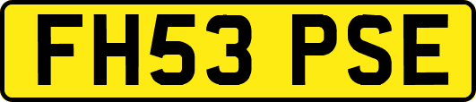 FH53PSE