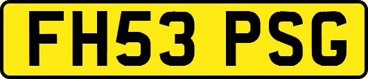 FH53PSG