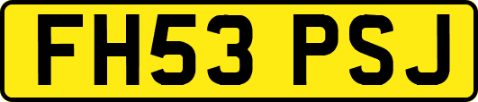 FH53PSJ