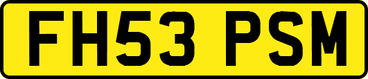 FH53PSM