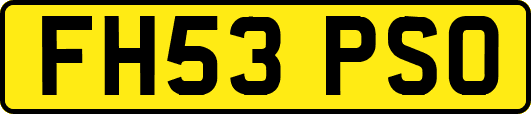 FH53PSO