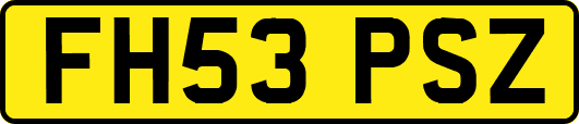 FH53PSZ