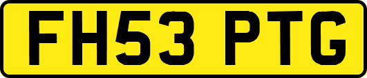 FH53PTG