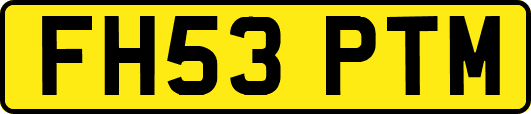 FH53PTM