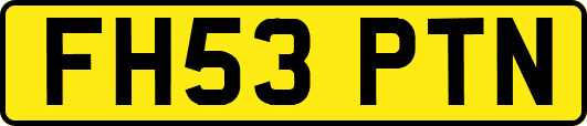 FH53PTN